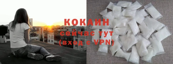 mdpv Бородино