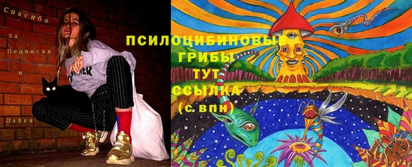 марки lsd Бугульма